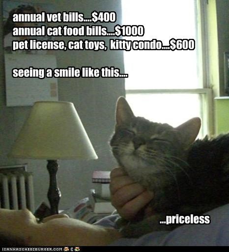 annual vet bills....$400 annual cat food bills....$1000 pet license, cat toys,  kitty condo....$600  seeing a smile like this....