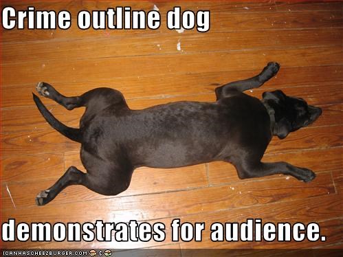Crime outline dog  demonstrates for audience.
