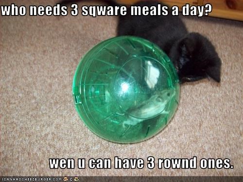 who needs 3 sqware meals a day?  wen u can have 3 rownd ones.