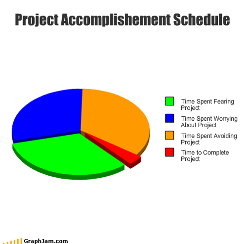 Project Accomplishement Schedule
