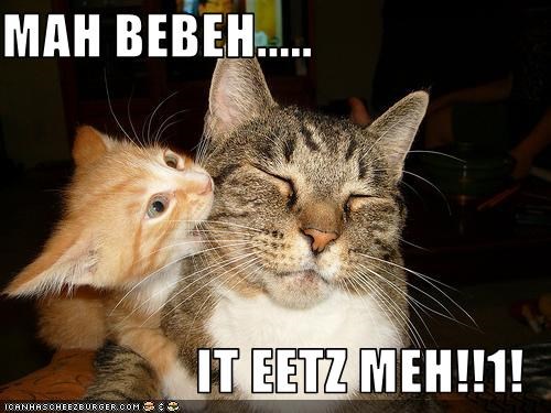 MAH BEBEH.....  IT EETZ MEH!!1!