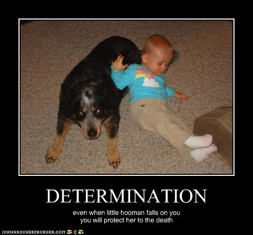 DETERMINATION