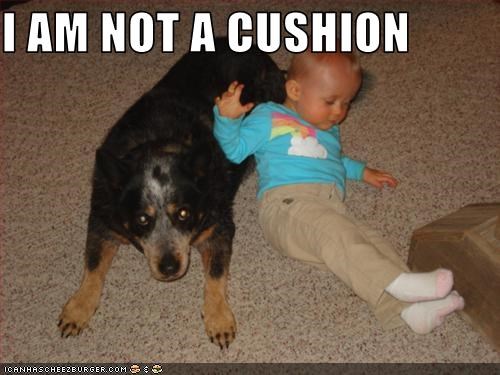 I AM NOT A CUSHION