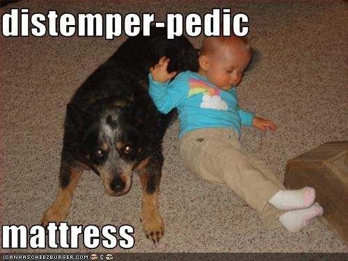 distemper-pedic  mattress