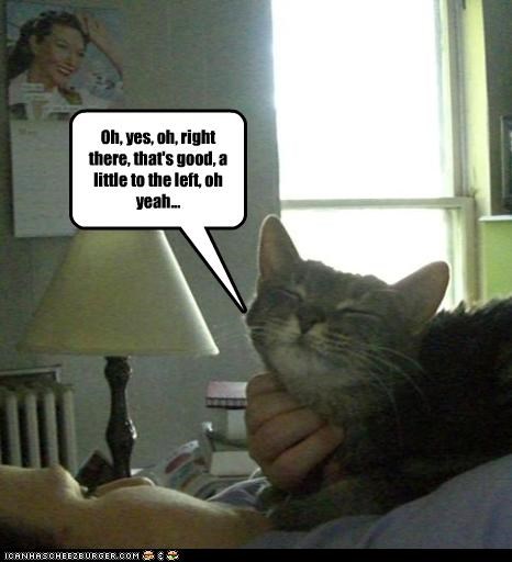 Oh, yes, oh, right there, that's good, a little to the left, oh yeah...