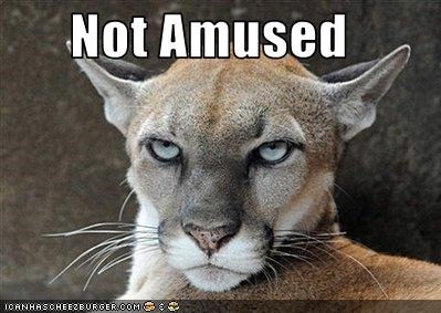 Not Amused