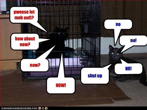 pweese let meh out!?