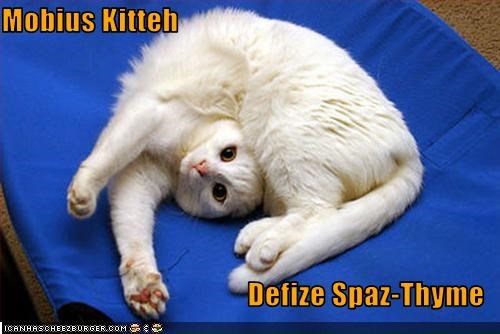Mobius Kitteh  Defize Spaz-Thyme