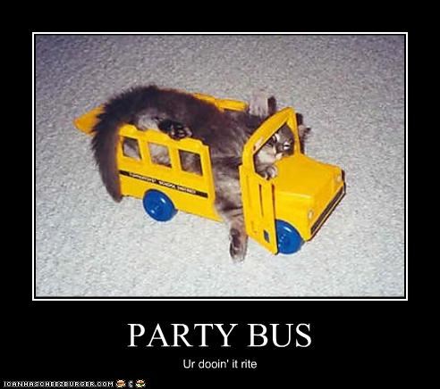 PARTY BUS