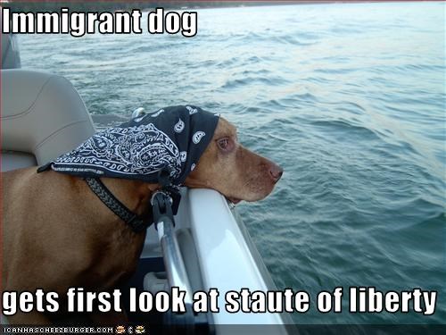 Immigrant dog  gets first look at staute of liberty