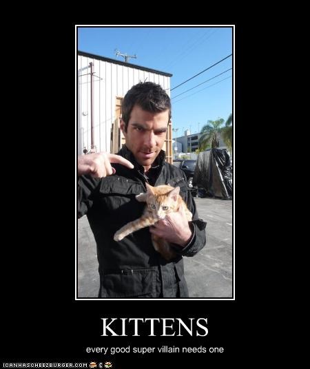 KITTENS