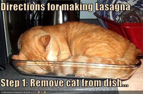Directions for making Lasagna  Step 1: Remove cat from dish...