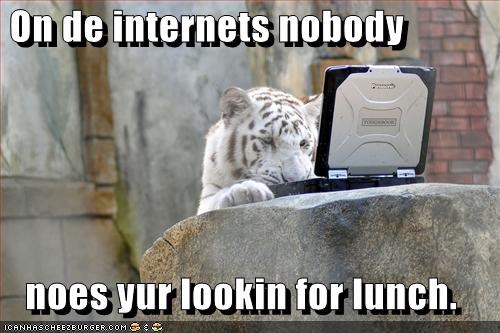 On de internets nobody     noes yur lookin for lunch.