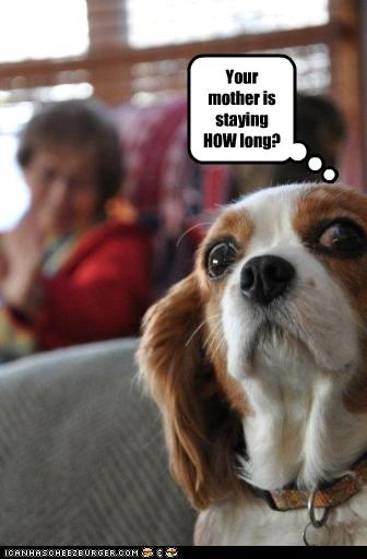 Your mother is staying HOW long?