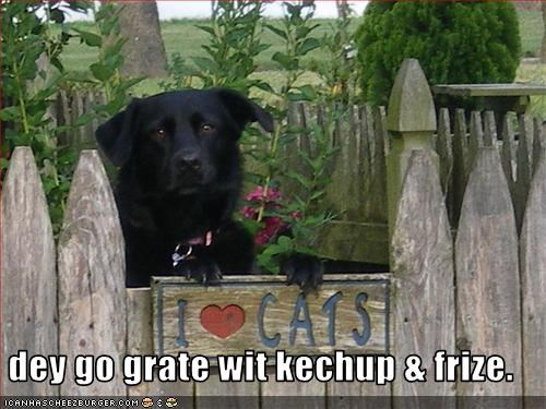 dey go grate wit kechup & frize.