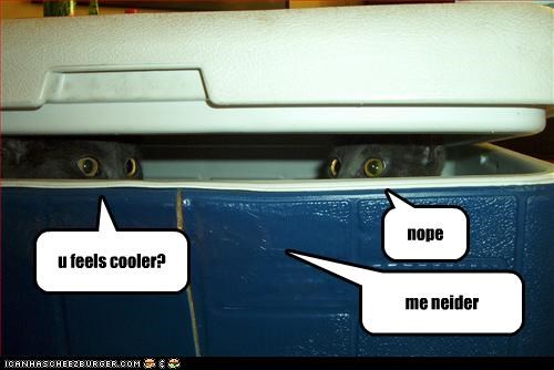 u feels cooler?