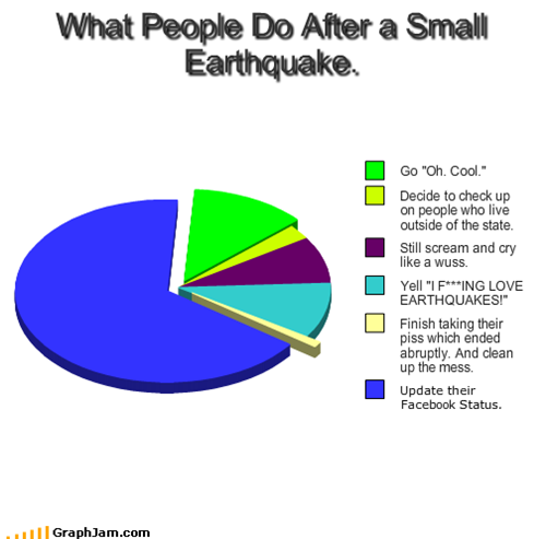What People Do After a Small Earthquake.