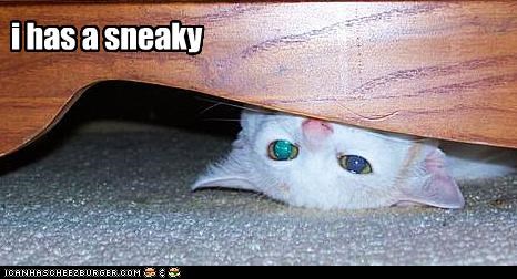 i has a sneaky