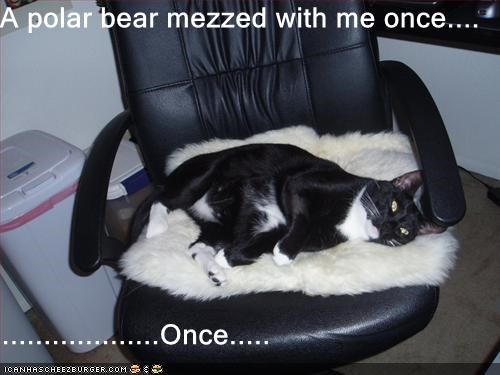 A polar bear mezzed with me once....  ...................Once.....
