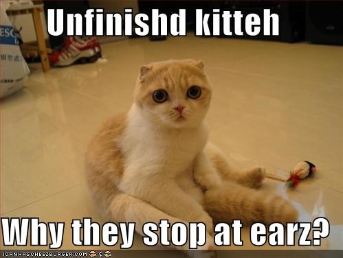 Unfinishd kitteh  Why they stop at earz?