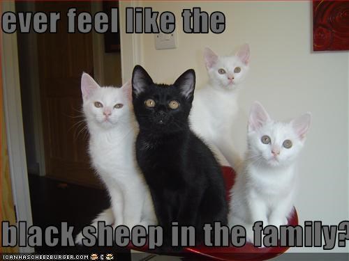 ever feel like the  black sheep in the family?