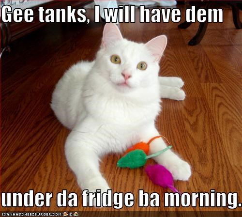 Gee tanks, I will have dem  under da fridge ba morning.