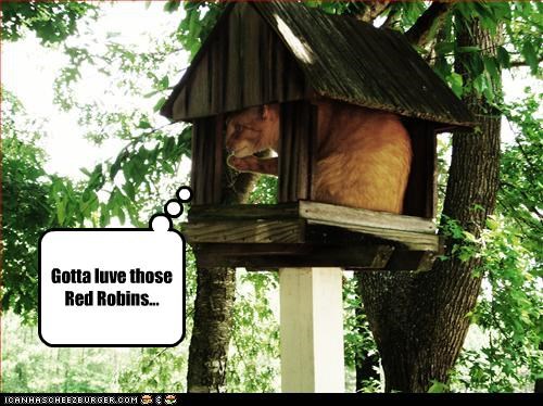 Gotta luve those Red Robins...