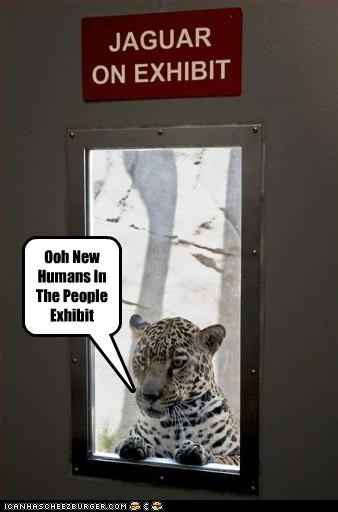 Ooh New Humans In The People Exhibit