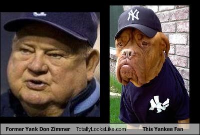 Former Yank Don Zimmer Totally Looks Like This Yankee Fan