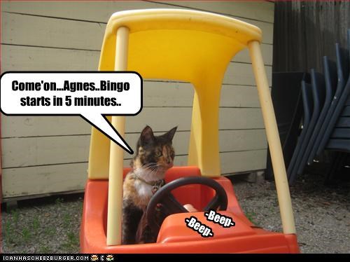 Come'on...Agnes..Bingo starts in 5 minutes..