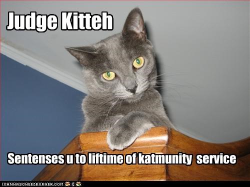 Judge Kitteh