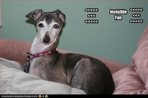 Invisible
Fan