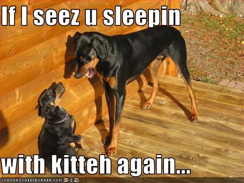 If I seez u sleepin  with kitteh again...