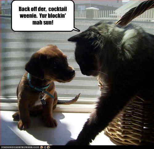 Back off der,  cocktail weenie.  Yur blockin' mah sun!