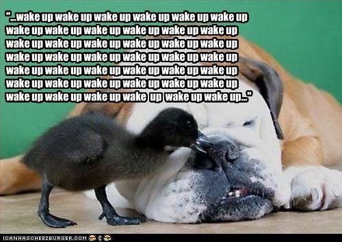 "...wake up wake up wake up wake up wake up wake up wake up wake up wake up wake up wake up wake up wake up wake up wake up wake up wake up wake up wake up wake up wake up wake up wake up wake up wake up wake up wake up wake up wake up wake up wake up wak