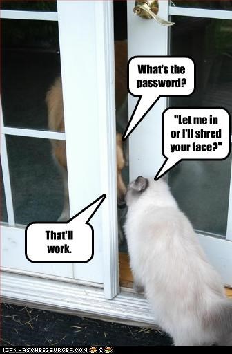 What's the password?