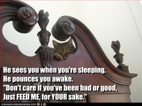 He sees you when you're sleeping.
He pounces you awake.
"Don't care if you've been bad or good, 
Just FEED ME, for YOUR sake."
