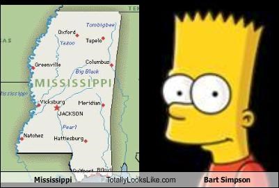 Mississippi Totally Looks Like Bart Simpson