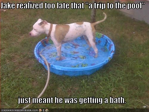 Jake realized too late that "a trip to the pool"  just meant he was getting a bath.