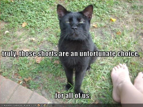 truly, those shorts are an unfortunate choice.     for all of us.