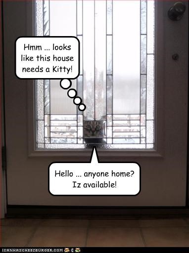 Hello ... anyone home?
Iz available!