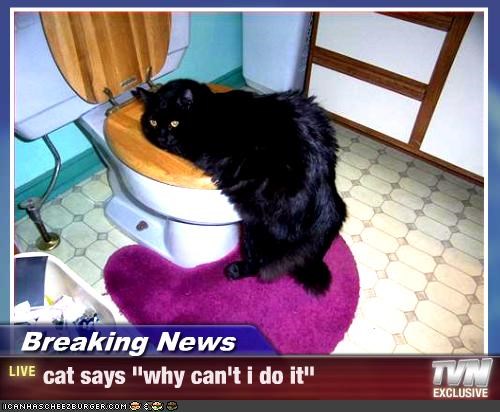 Breaking News - cat says "why can't i do it"