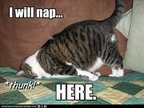 I will nap...