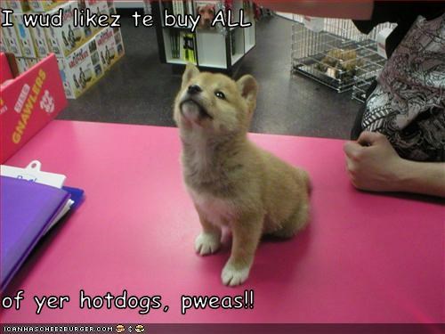 I wud likez te buy ALL   of yer hotdogs, pweas!!