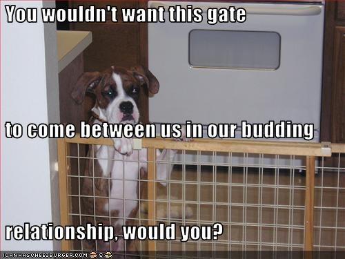 You wouldn't want this gate   to come between us in our budding   relationship, would you?
