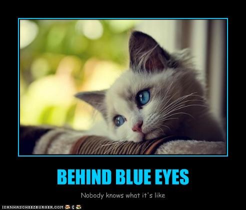 BEHIND BLUE EYES
