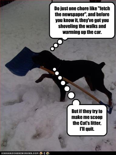 Do just one chore like "fetch the newspaper", and before you know it, they've got you shoveling the walks and warming up the car.