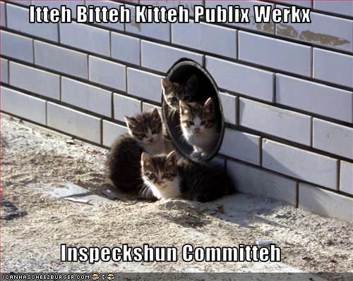 Itteh Bitteh Kitteh Publix Werkx  Inspeckshun Committeh