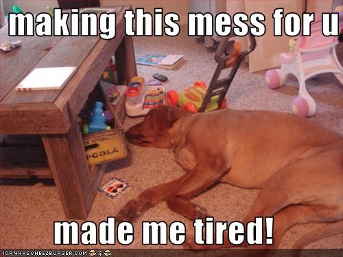 making this mess for u   made me tired!