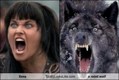 Xena Totally Looks Like a rabid wolf